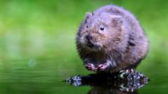 Water voles to benefit from £25m landscapes plan